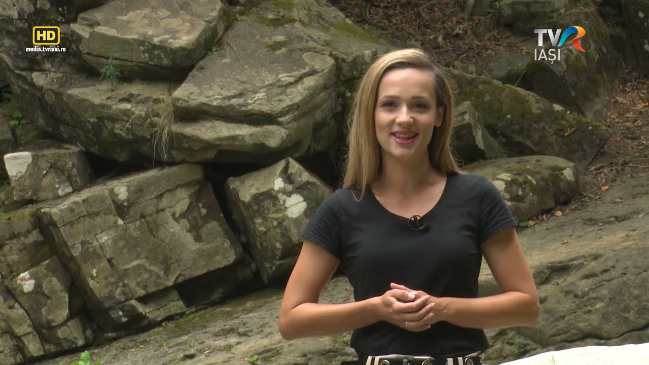 Descriptio Moldaviae - Darmanesti