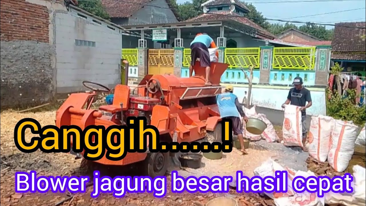 Mesin perontok jagung besar #viralvideo #fypシ゚viral #blowerjagung 