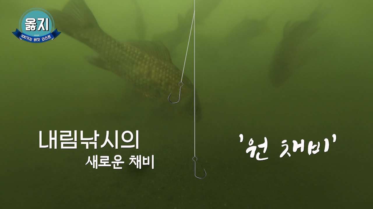 내림낚시의 새로운 채비 공개 '원 채비'
