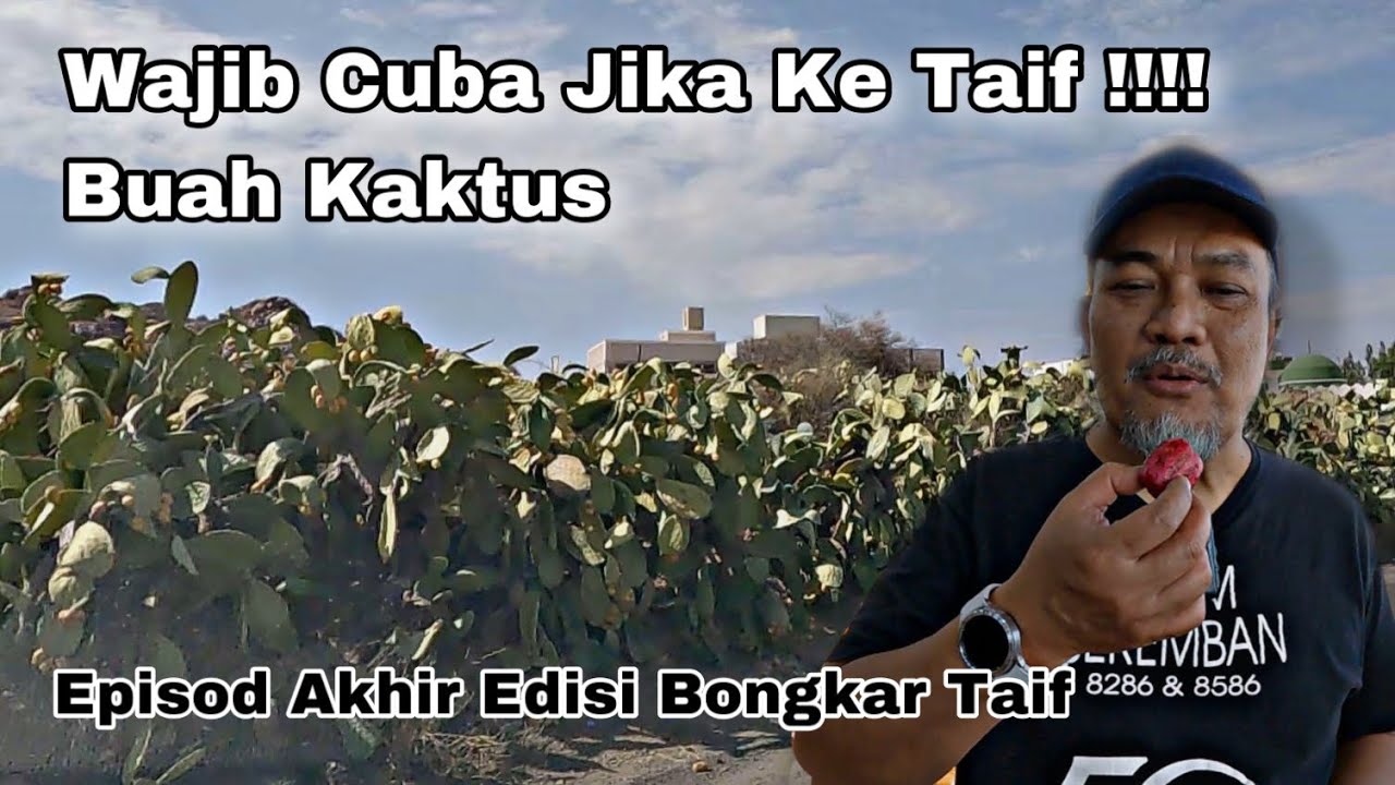 Amazing !!! Akhirnya Apa Yang Anda Dapat Jika Sertai Rombongan Ke Taif Terbongkar  Episod Akhir