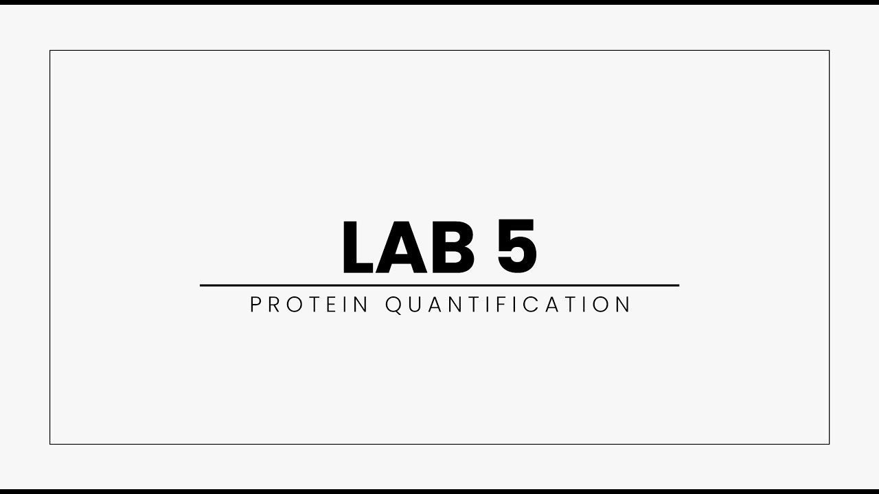 Lab 5: Protein Quantification