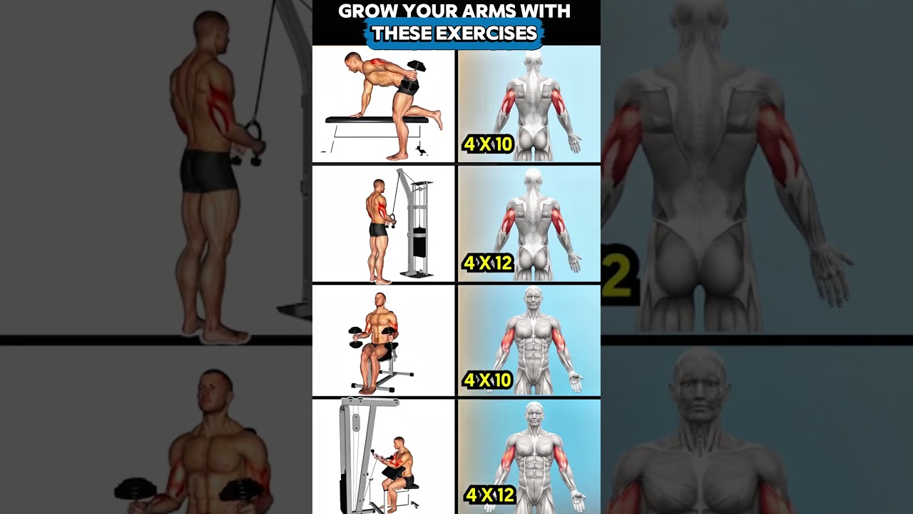 GROW Your Arms With THESE Exercises 💪