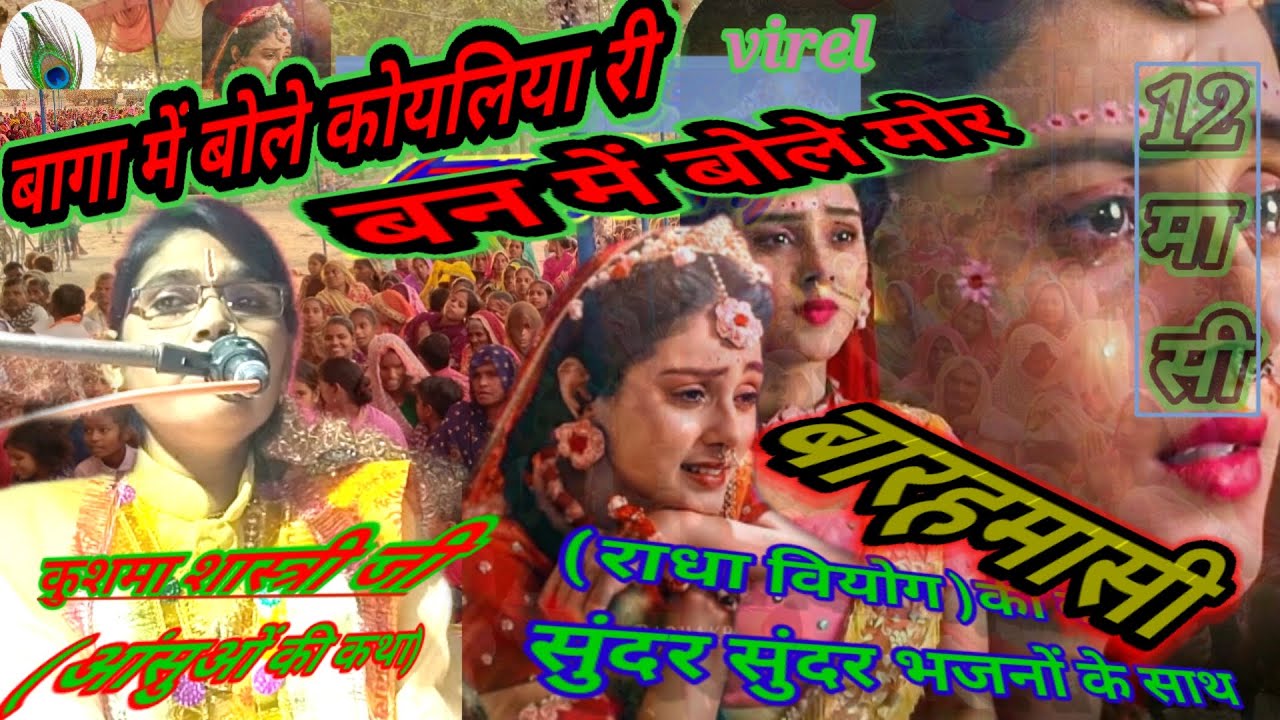 नया बारहमासी🪻बागा में बोले 🐦‍⬛कोयलिया रे बन में बोले मोर 🦚 बामी बोले नगिनिया(कुशमा शास्त्री जहानपुर)