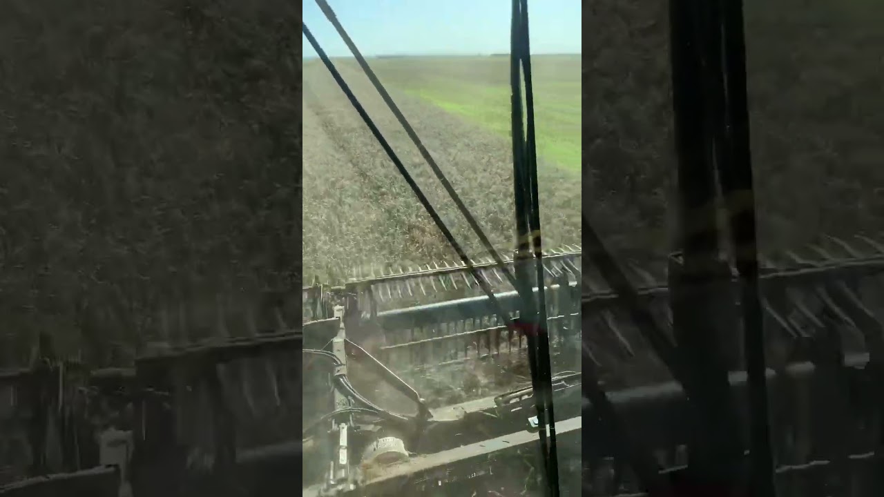 Bio: The song says it all! #shorts #combine #international #harvest #usa #farming