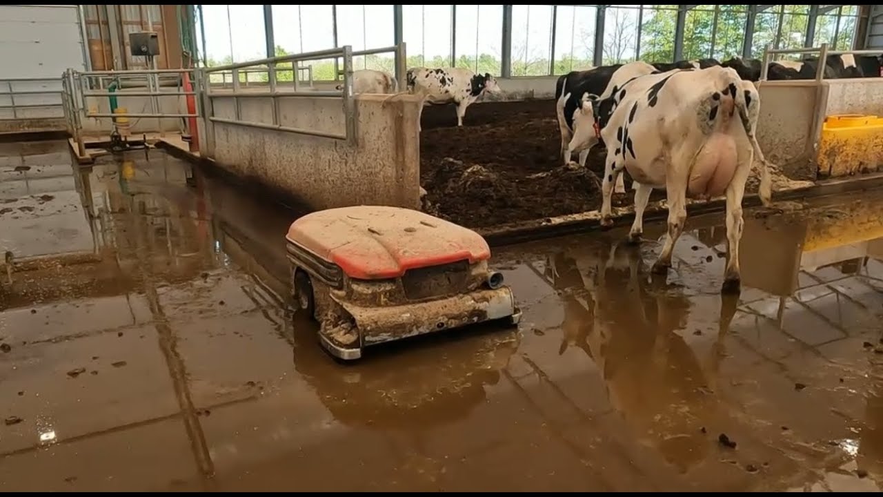 Lely Collector Quit Spraying Water!