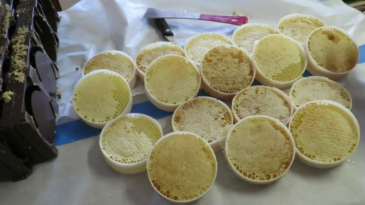 HARVESTING ROSS ROUNDS COMB HONEY