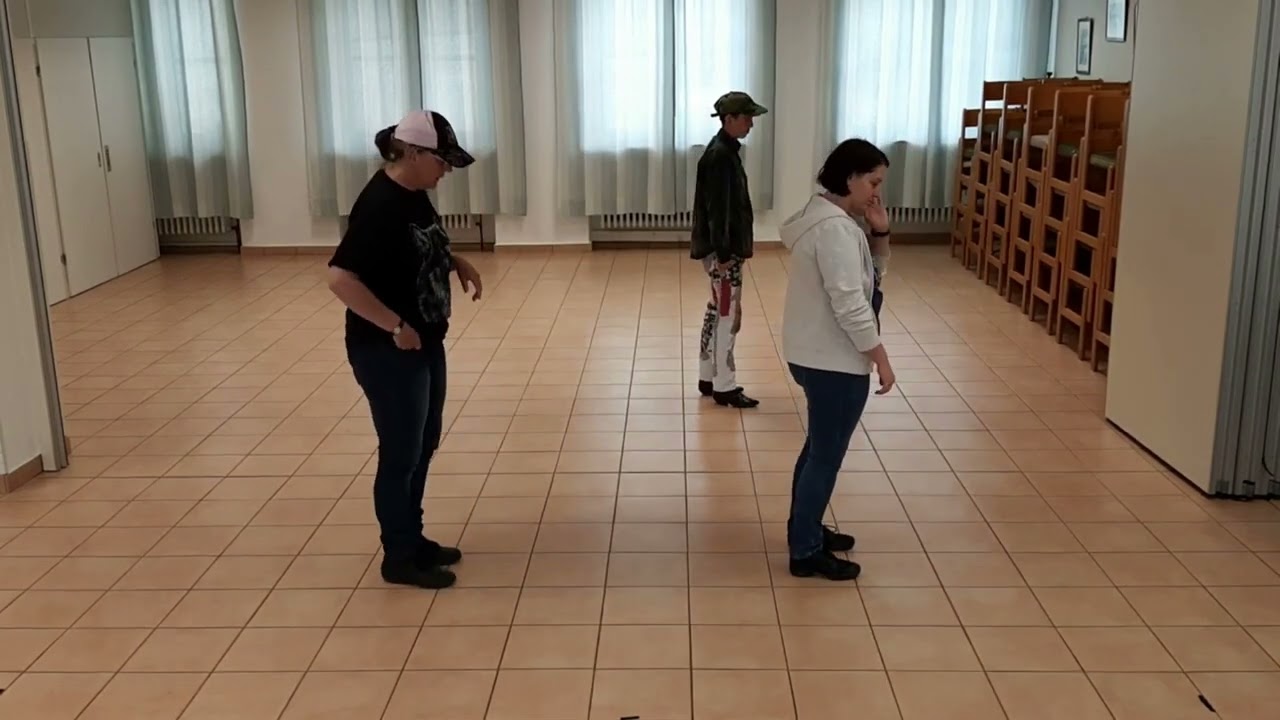 Whiskeys Gone Lernvideo Teach & Dance Line Dance Biene Teil 1