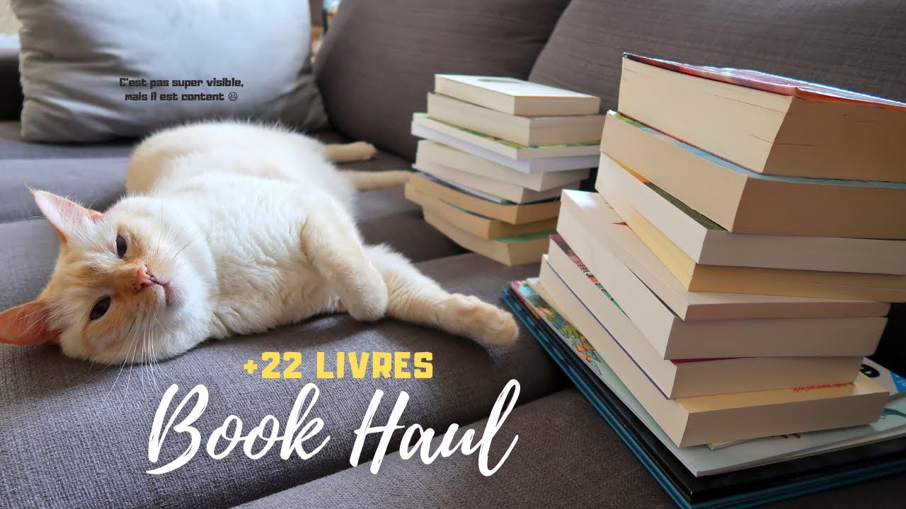BIG BOOK HAUL = +22 LIVRES !