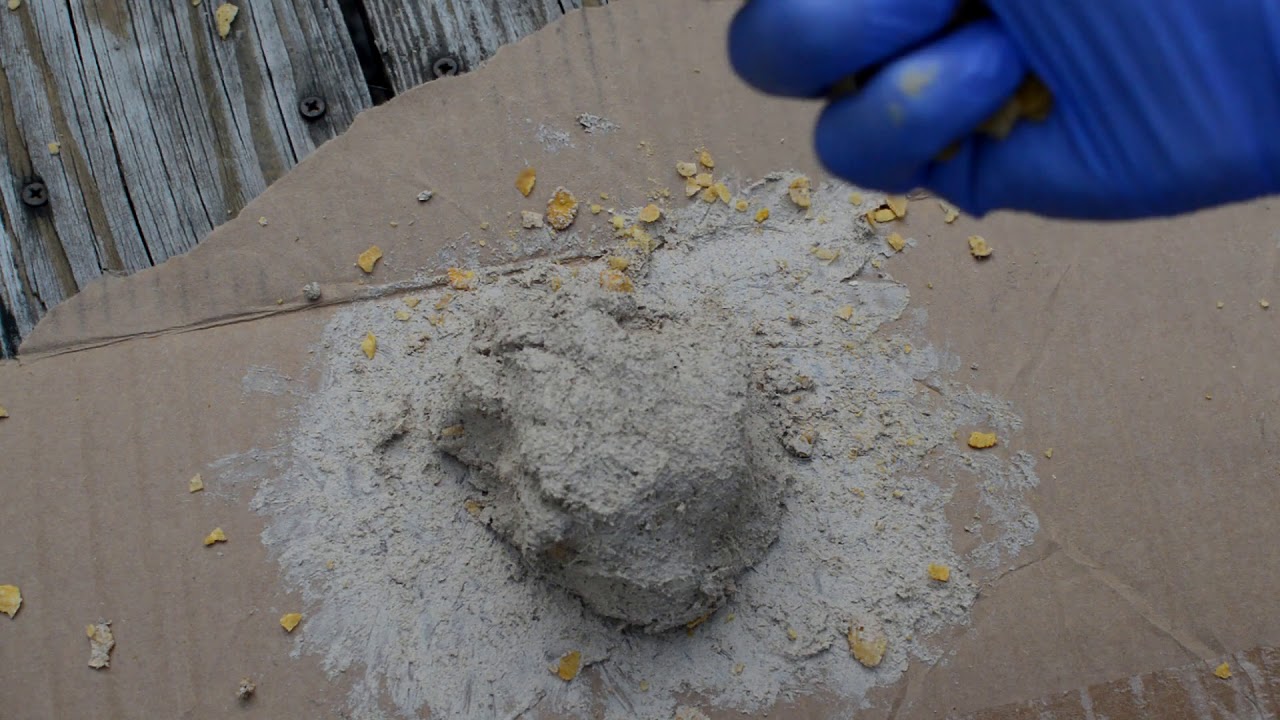 BEST CATFISH BAIT RECIPE - Grandpa's Secret Bait Revisited