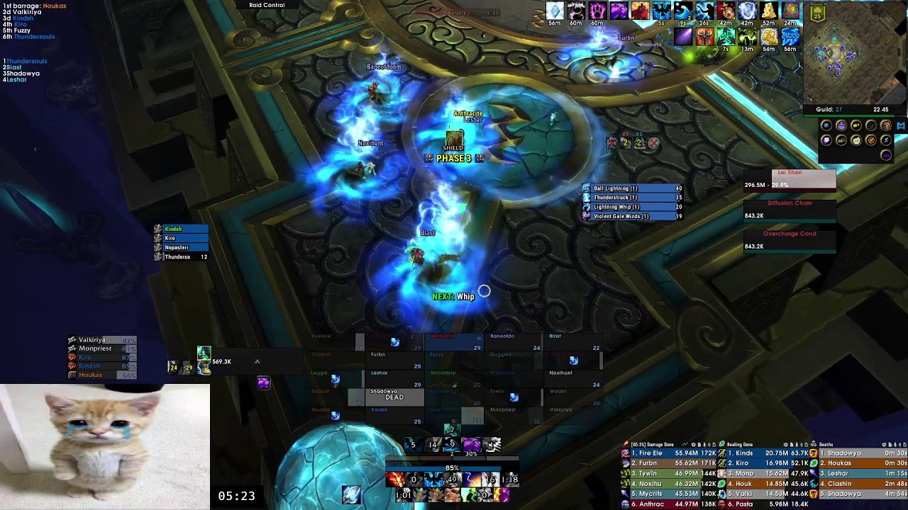 Throne of Thunder 25 - Resto Shaman PoV