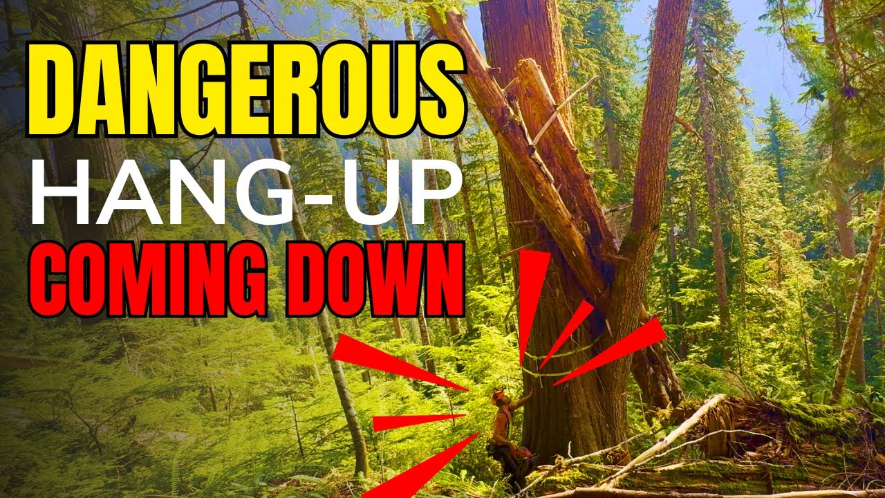 162. Dangerous Snag Hang-up