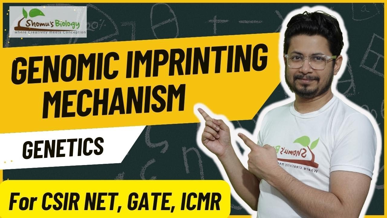 Genomic imprinting csir net bsc 1st year | Genomic imprinting mechanism explained for CSIR NET