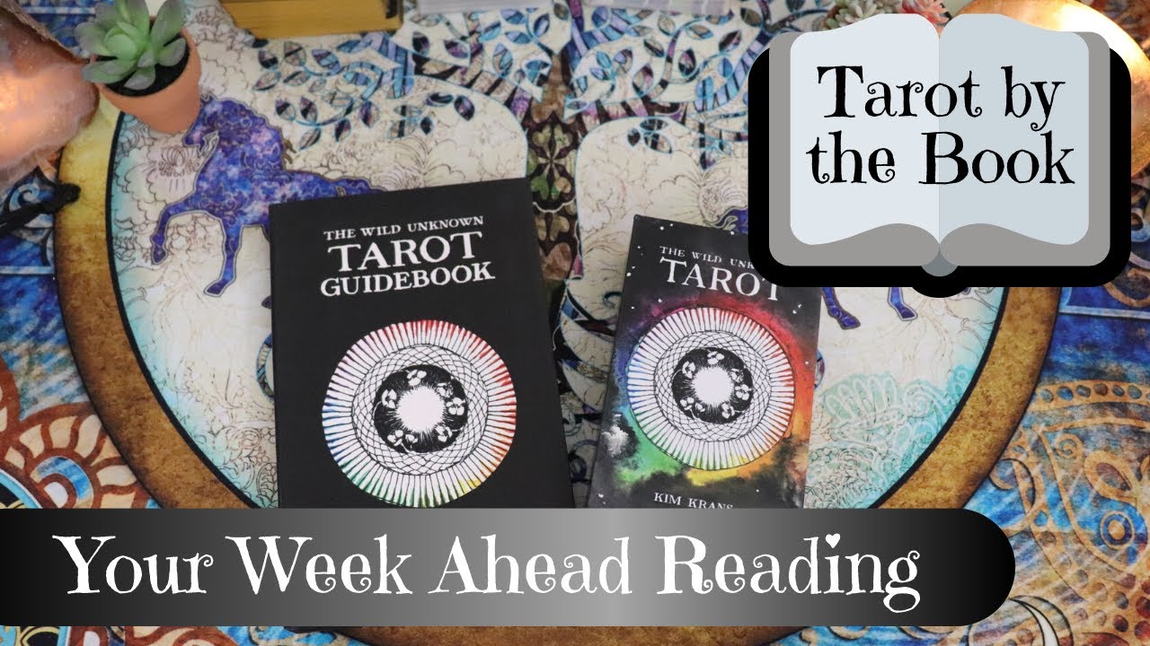 Week Ahead Reading | Tarot By The Book with the Wild Unknown Tarot