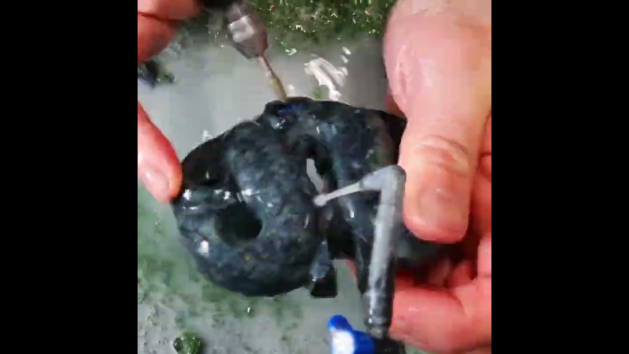 Pekapeka