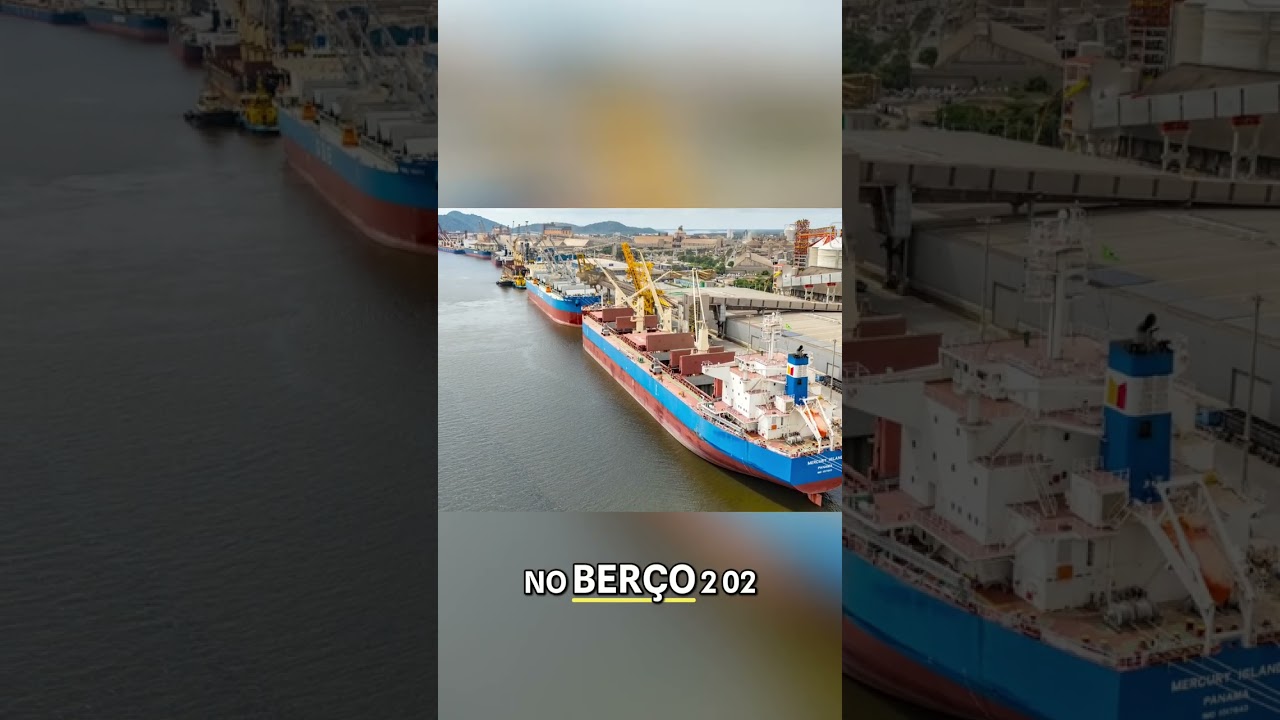 Porto de Paranaguá: Recorde de Cevada Desembarcada! #shorts
