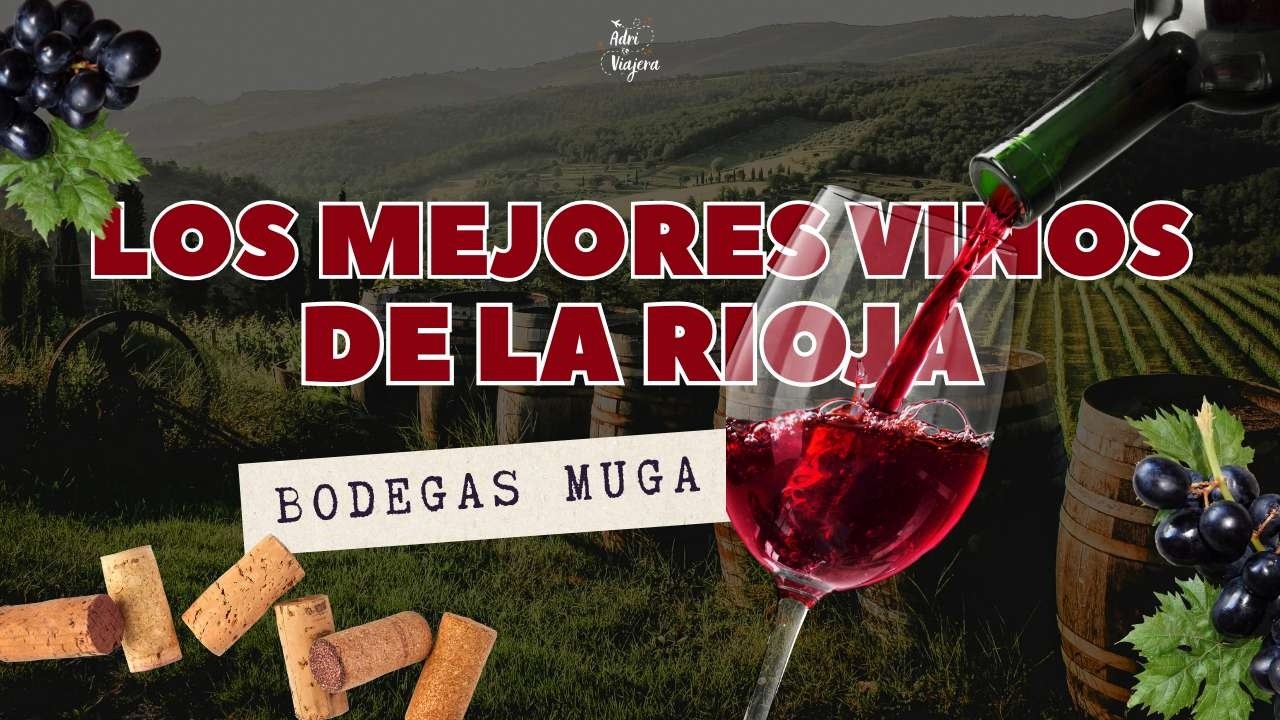 No sabía que el vino se vivía así 🍷 | Visita y cata en Bodegas Muga