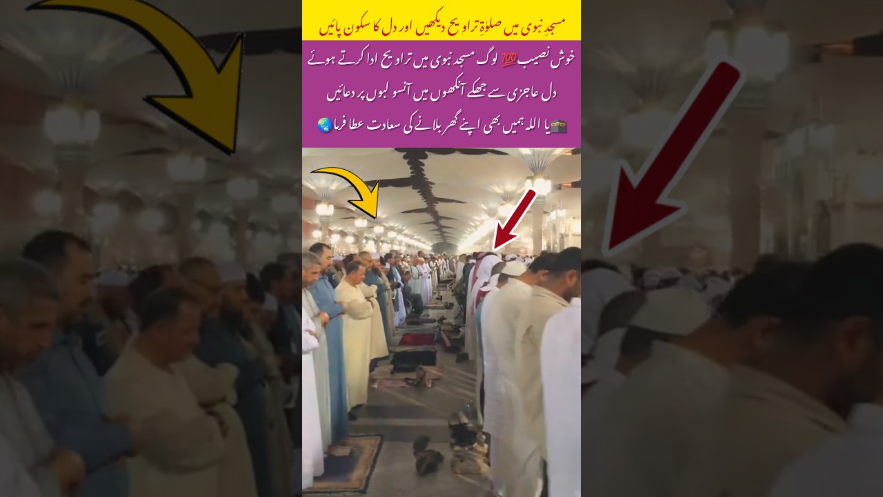 Taraweeh Prayer from MasjidNabawi Watch&Feel Spiritual Peace#islamicshorts#faith#ramadan2026#bts#fyp