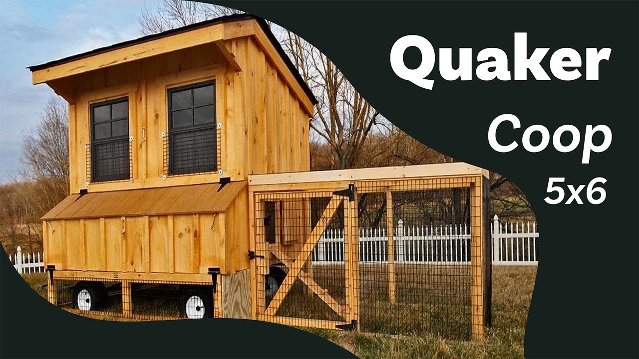 5x6 Quaker Chicken Coop