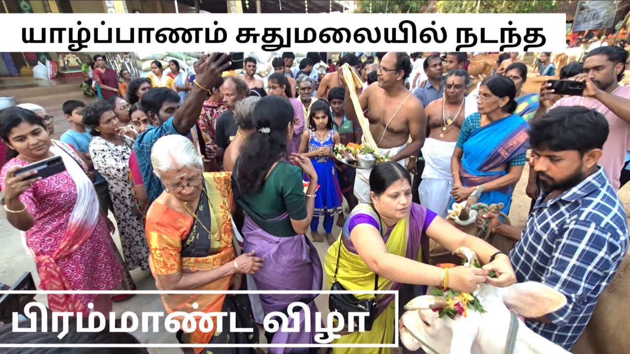 🔴யாழ் வந்த AKD தவறவிட்ட  பிரம்மாண்ட நிகழ்வு.? திடீரென குவிந்த ஆக்கள் | jaffna suthumalai pattypongal