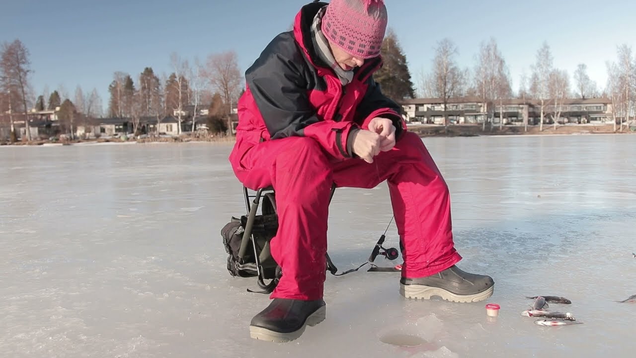 Ahvenia narraamassa pienen joen niskassa  |  Mormuskointia