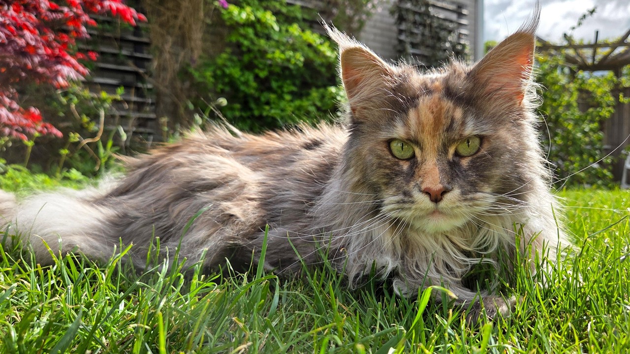 Let's Visit Idun - For the First Time In 2 Years!