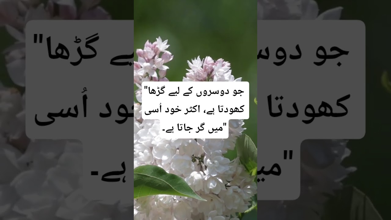 #ZindagiKaSabaq #KarmaUrdu #SochSamajhKarChalo #AqalmandBatein #UrduWisdom
