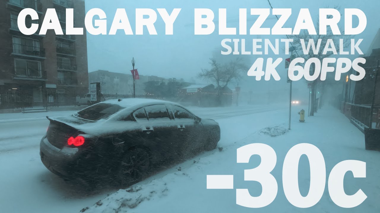 Silent Winter Walk: Calgary’s Most Intense Winter Storm - 4K 60FPS