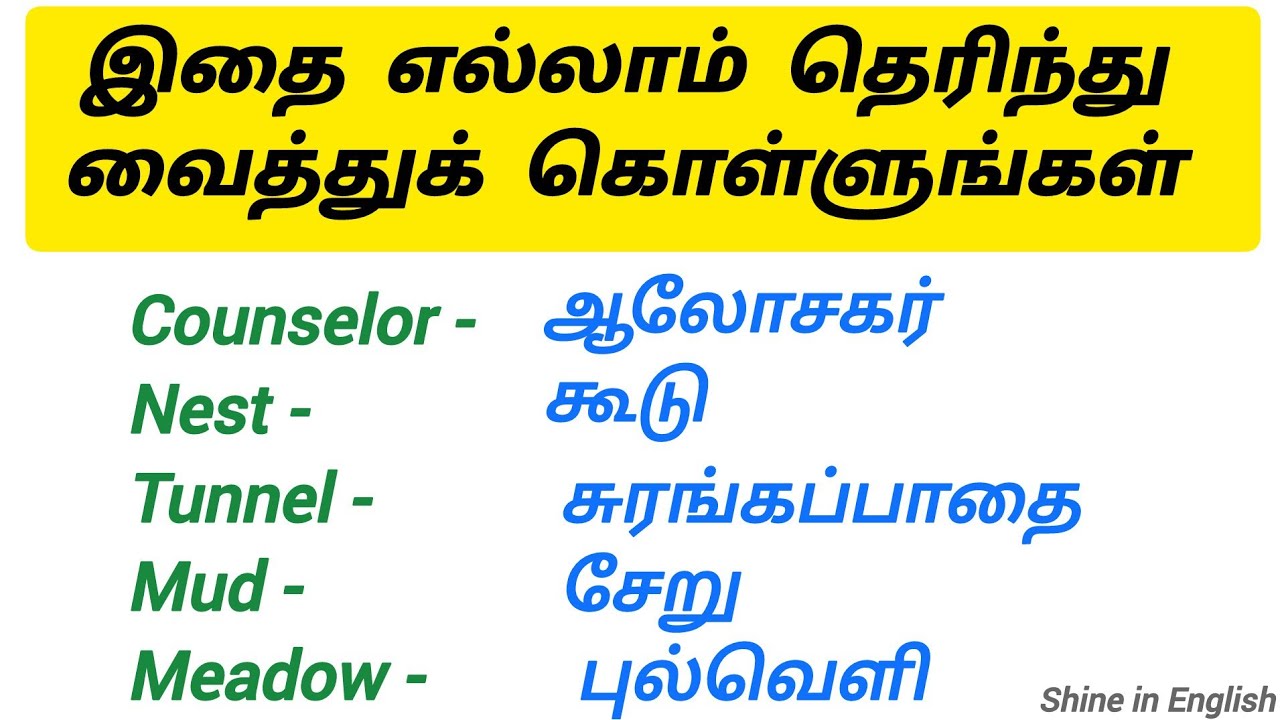 Most Daily used English vocabulary words in Tamil | Spoken English Classes in Tamil| Easy English|yt