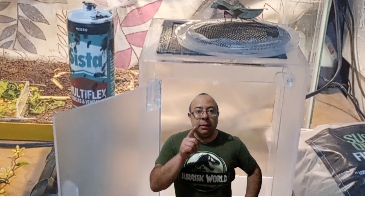 Haz un terrario para tu mantis paso a paso
