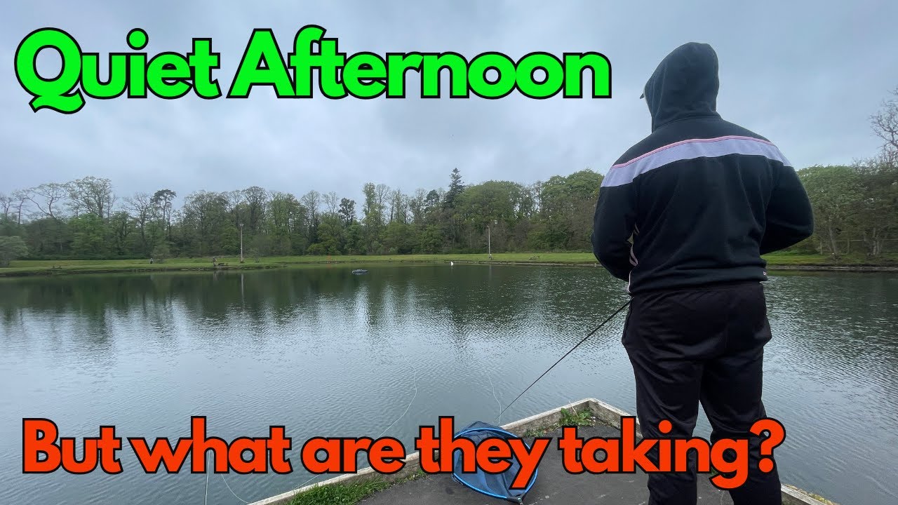 Fly Fishing at The Waterfront Fishery Early May