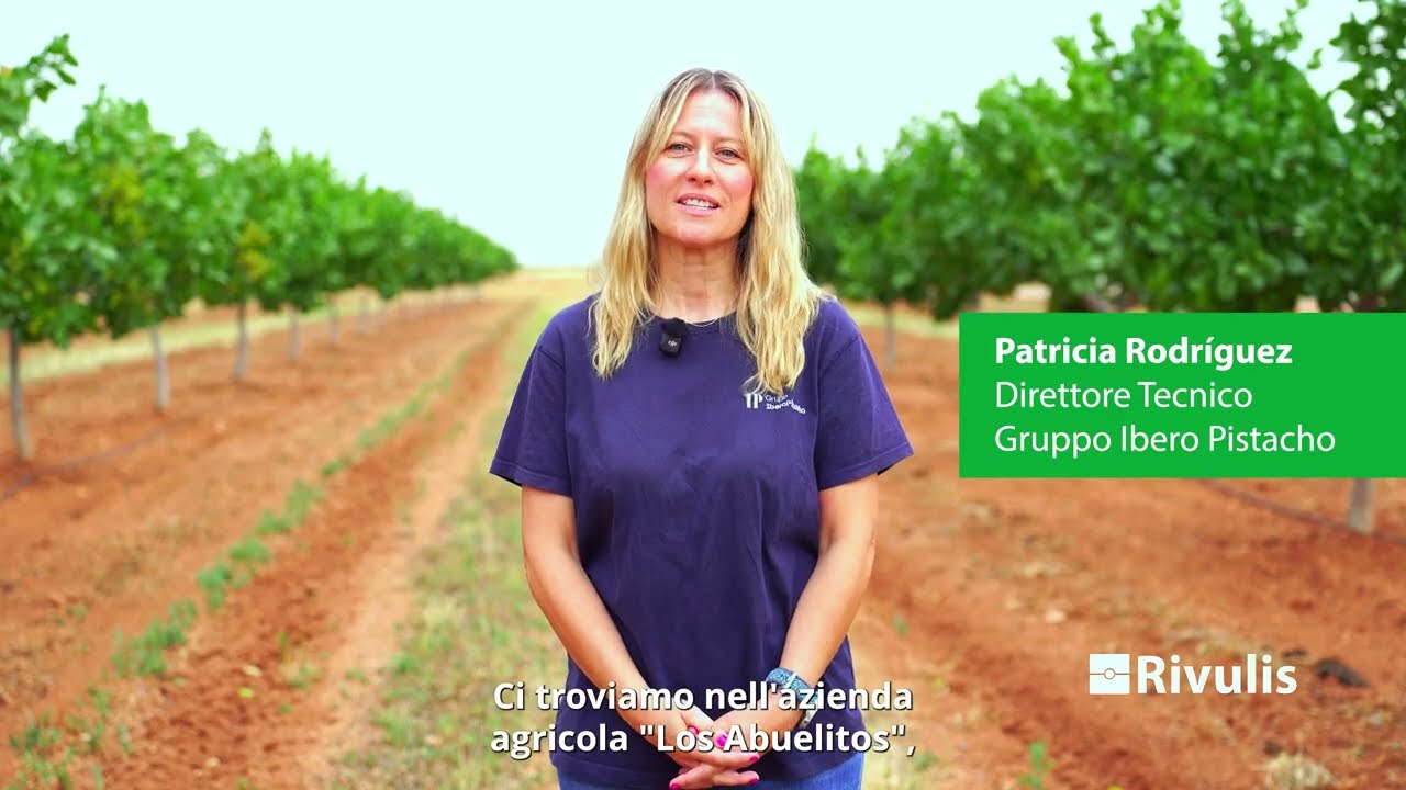 Massima resa dei pistacchi con poca acqua – Successo IberoPistacho & Rivulis
