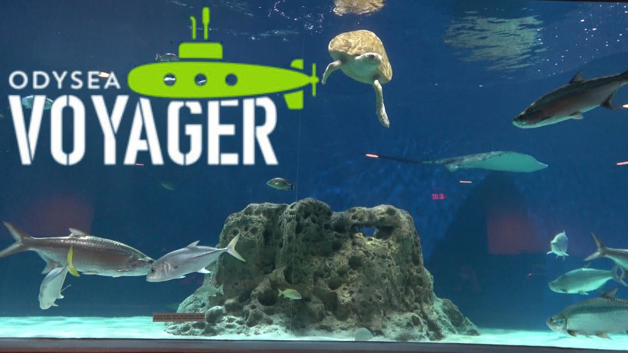POV Odysea Voyager Ride at Odysea Aquarium