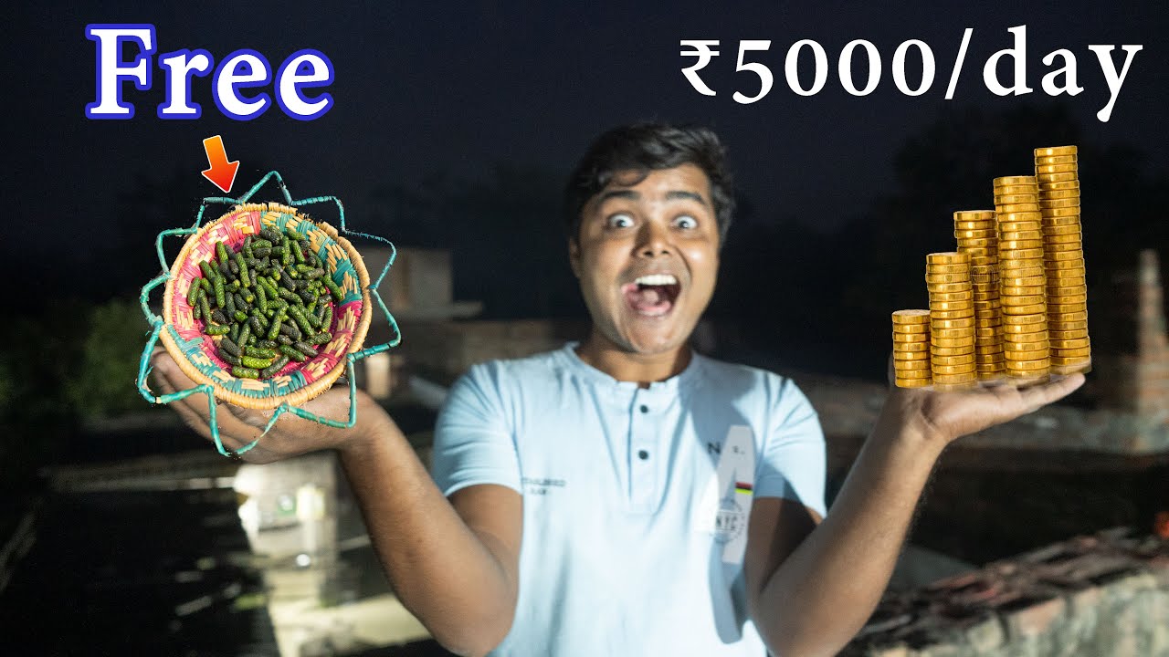 0 Investment To 5000 Rupee ( One Day Challenge )