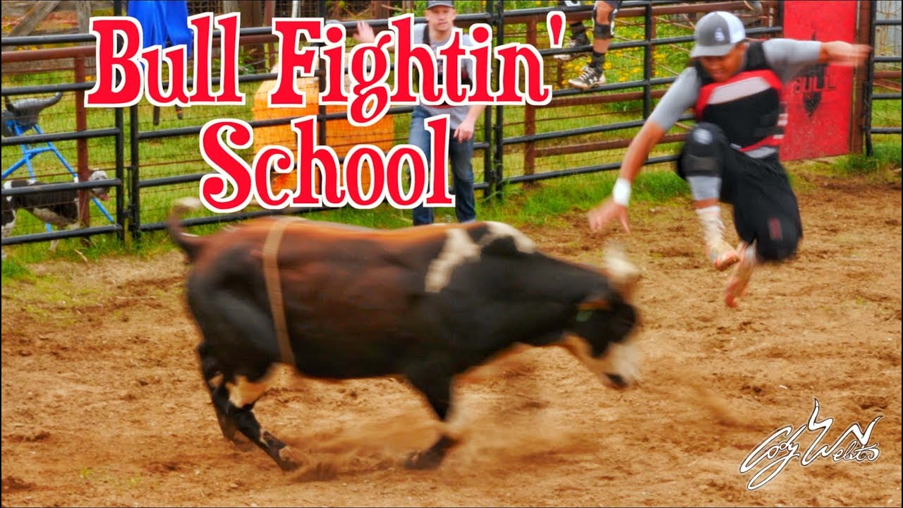 Websters Bull School - Rodeo Time 102