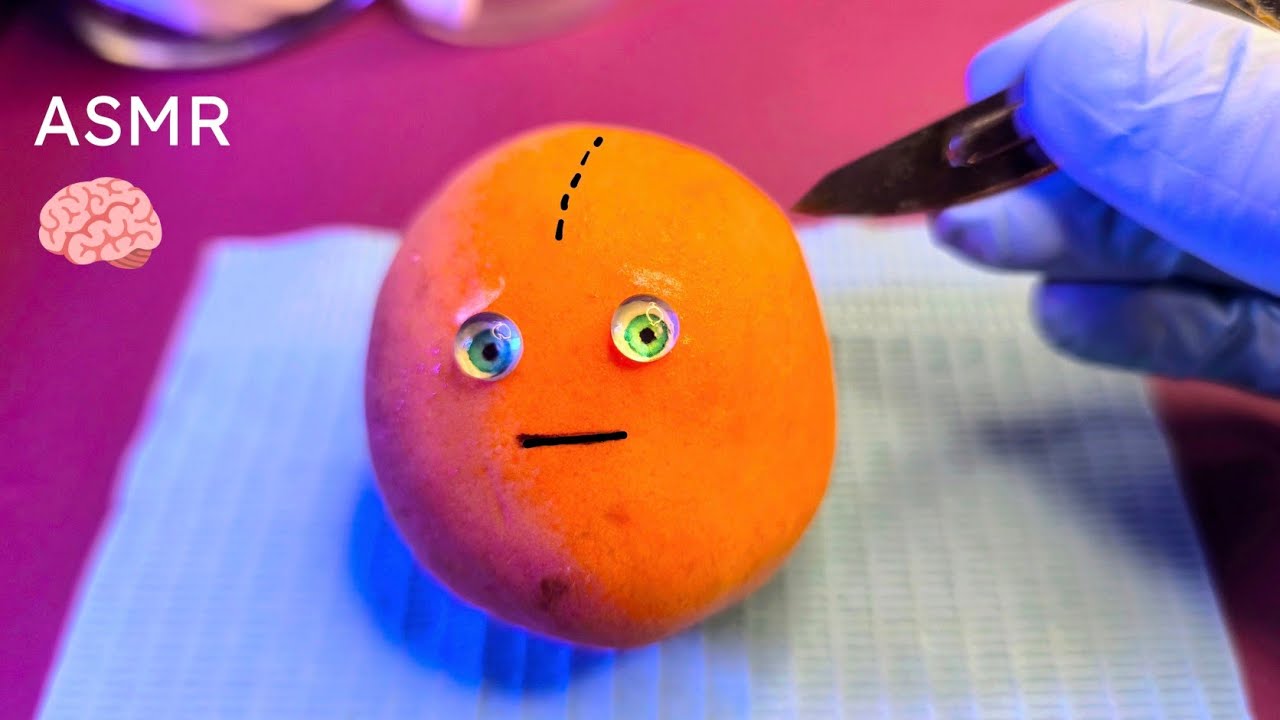ASMR Apricot Brain Surgery 🔪🧠 | Relaxing Lobotomy 