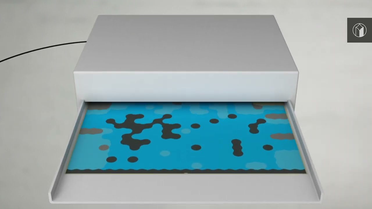 DZL|plate | Animation