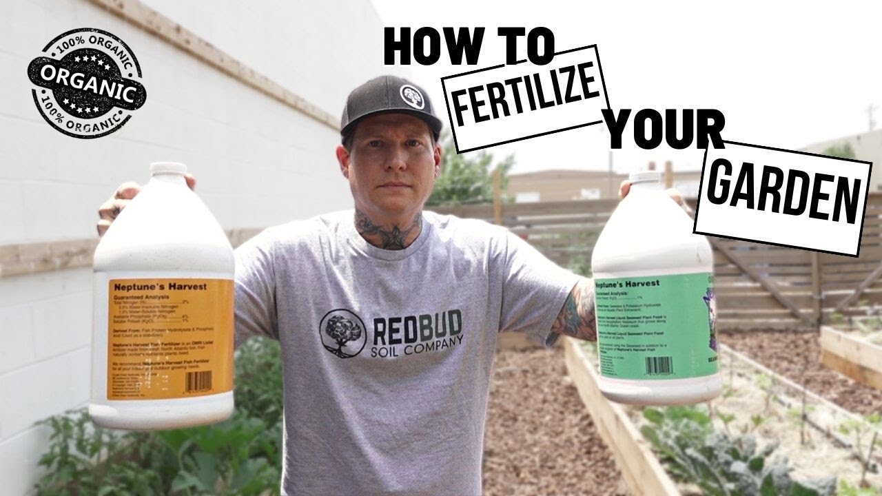 How To Fertilize Your Garden Organically