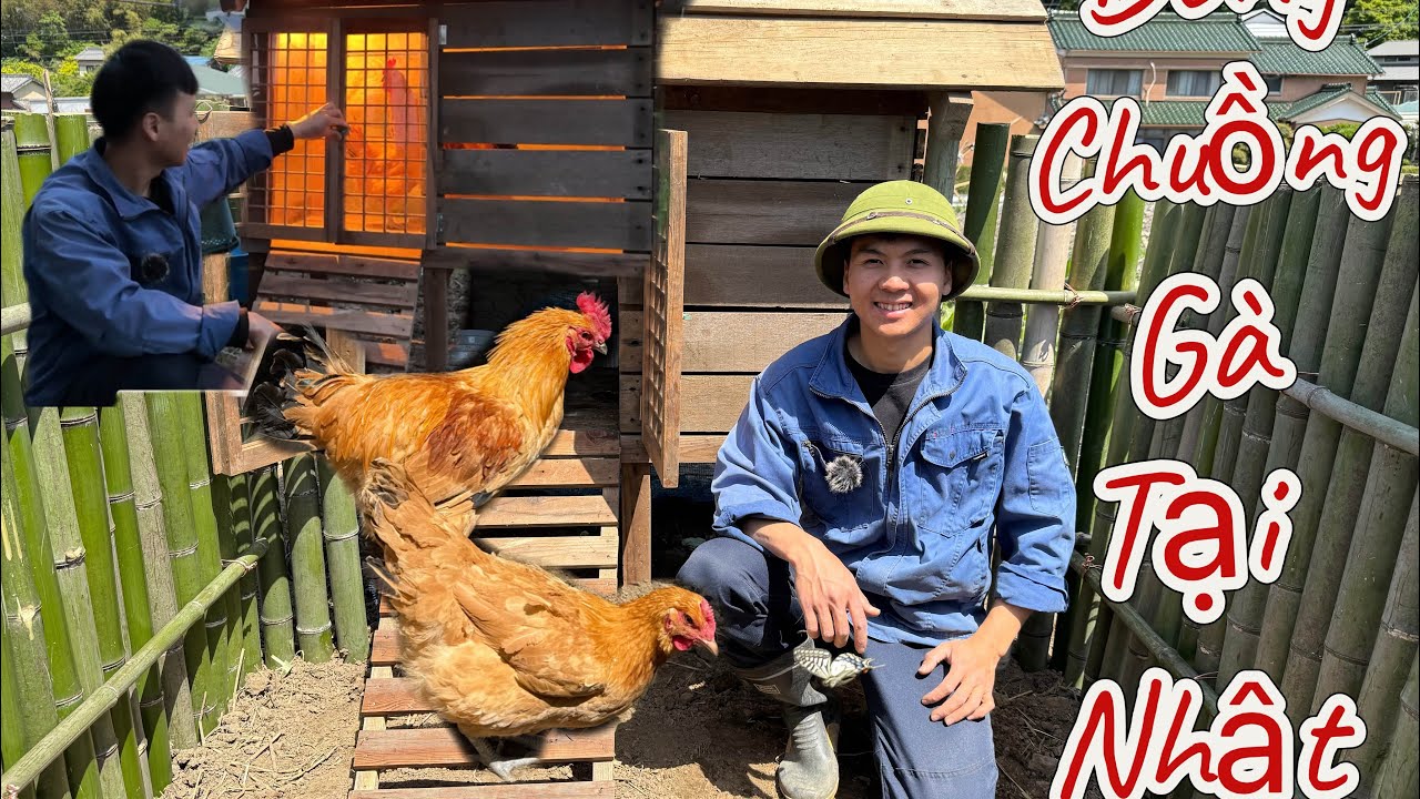 Hàng xóm người Nhật rất bất ngờ và tò mò khi lần đầu thấy chuồng gà Việt Nam tại Nhật.