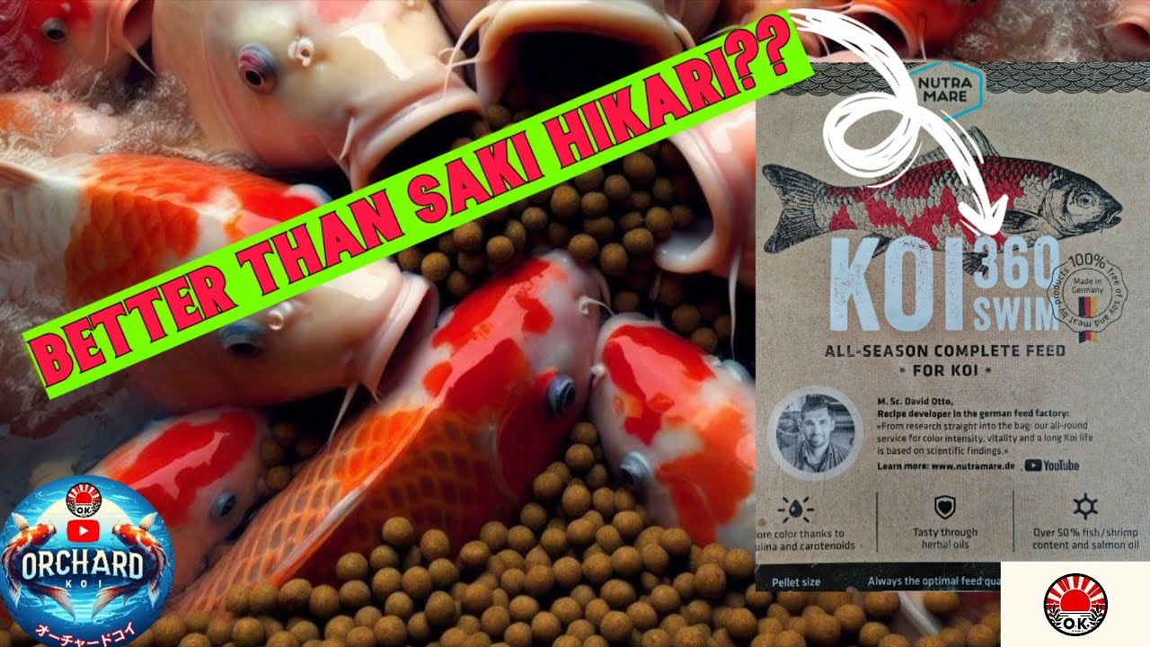 The best premium Koi Food? Nutramare 360