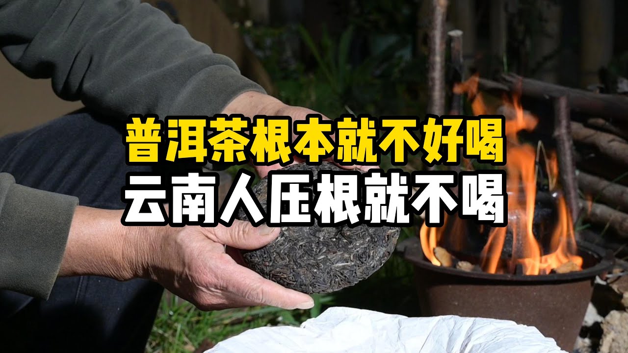 普洱茶根本就不好喝，云南人压根就不喝