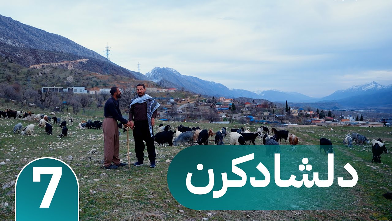 Dilşadkirin - Xeleka 7 -2025