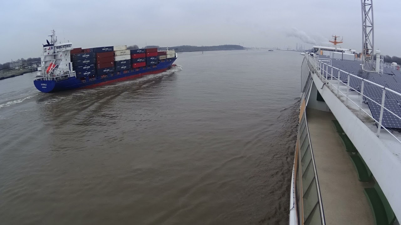 Texelstroom -Dokking Rotterdam 2018