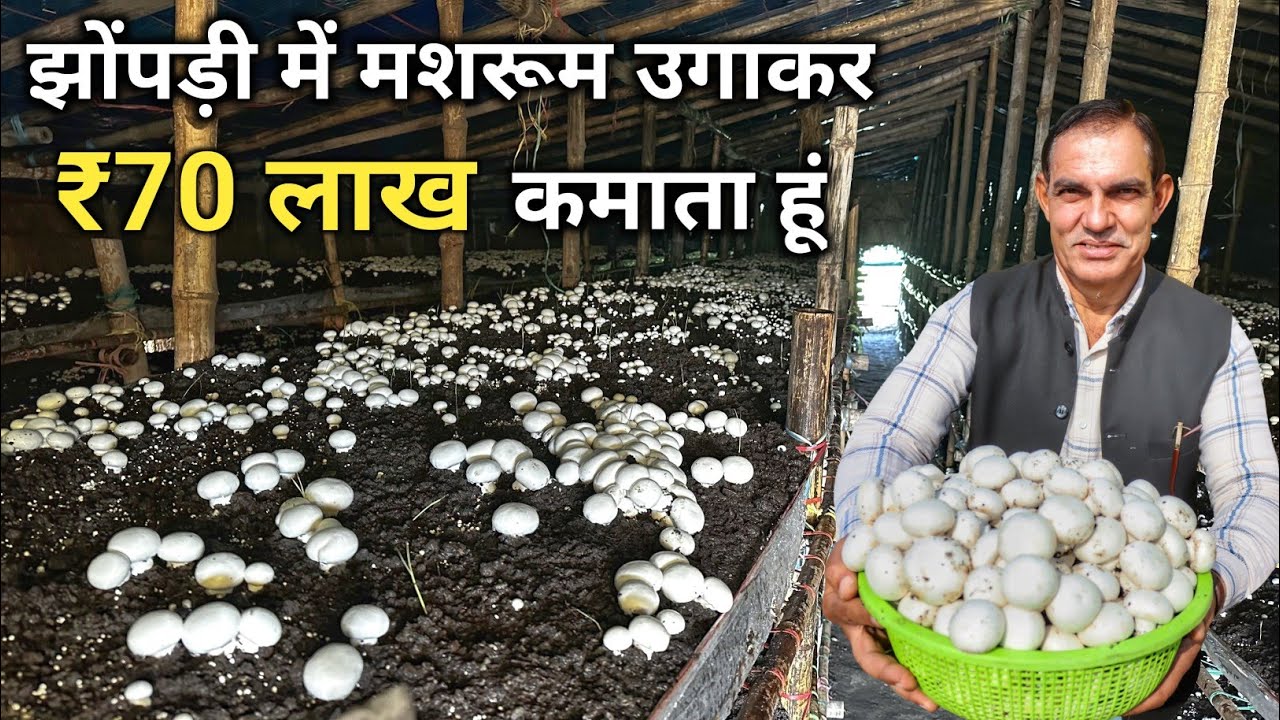 मशरूम कि खेती ने बनाया करोड़पति | 32 Year's Experience In Mushroom Farming | Button Mushroom