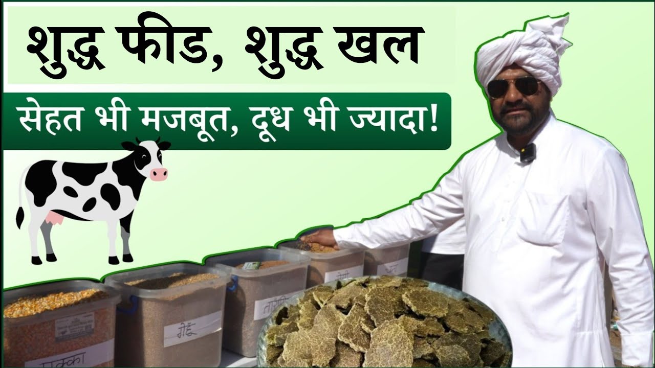 सुध फीड, सुध खल ! सेहत भी मजबूत, दूध भी ज्यादा!