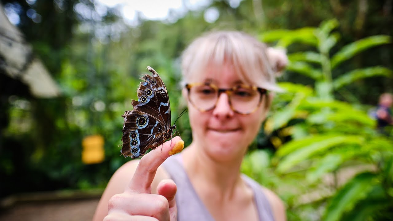 Butterfly Farm in Ecuador