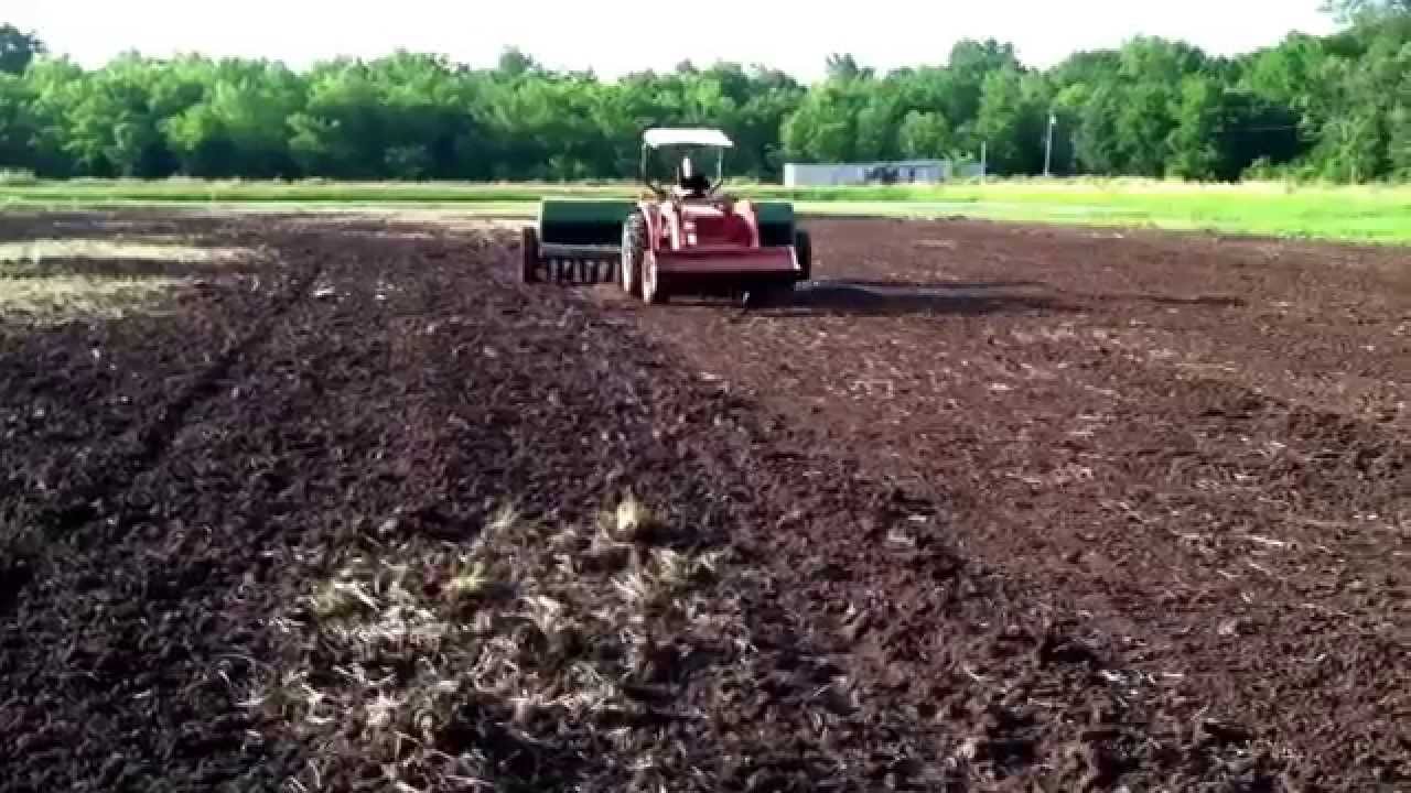 Planting milo food plot grain sorghum for ducks in flooded fields . Hunting . Rice millet