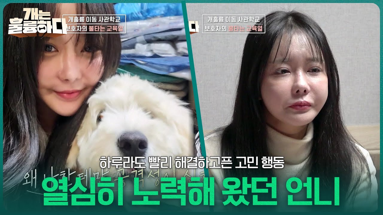 하루라도 빨리 해결하고픈 고민 행동, 열심히 노력해 왔던 언니 보호자 [개는 훌륭하다] | KBS 260126 방송