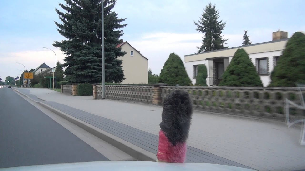 Schweinitz Stadt Jessen Elster Landkreis Wittenburg 9.8.2013