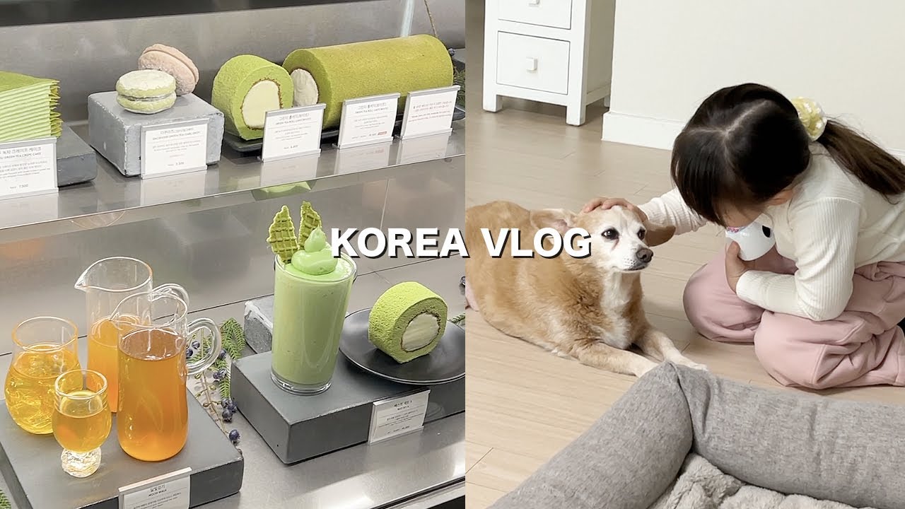 아이랑 둘이서 제주도, 영종도&부산 여행 🌴 | 일본 도쿄 브이로그