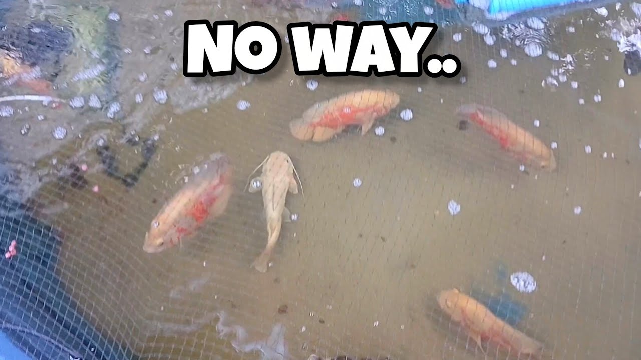 You Won’t Believe What I Found Today...